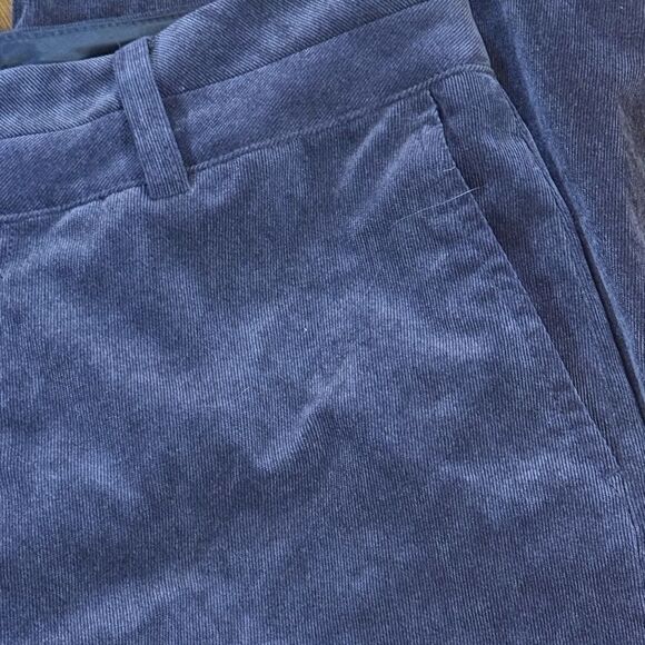 Coldwater Creek beautiful plum corduroy high rise ankle pants size 4 - Picture 2 of 9